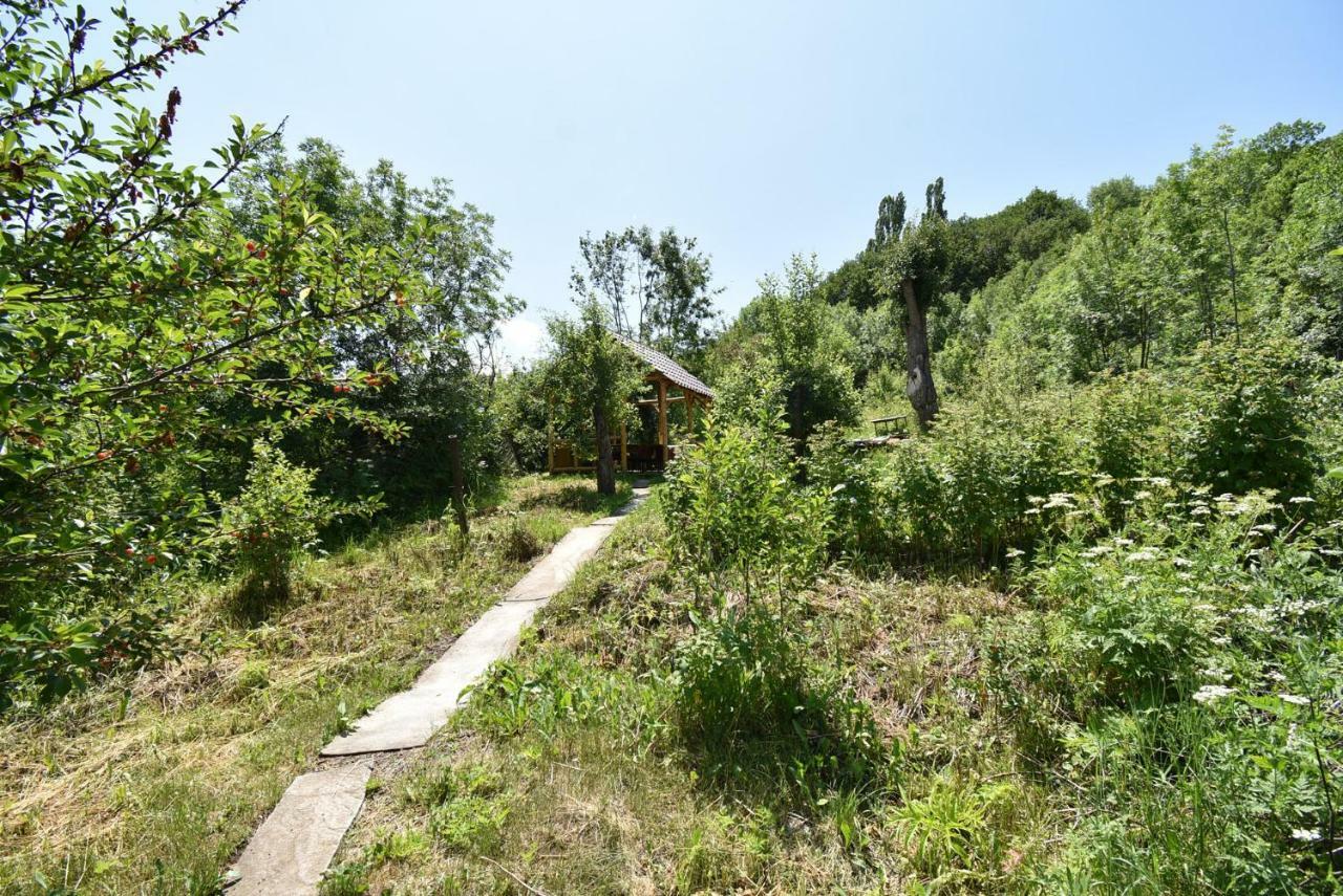 Guest House Arsan Tsaghkadzor Exterior foto